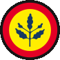 Fenerbahce