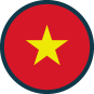 Vietnam Badge