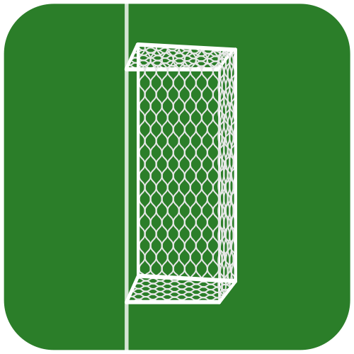 Goalpost Net - Hexagon