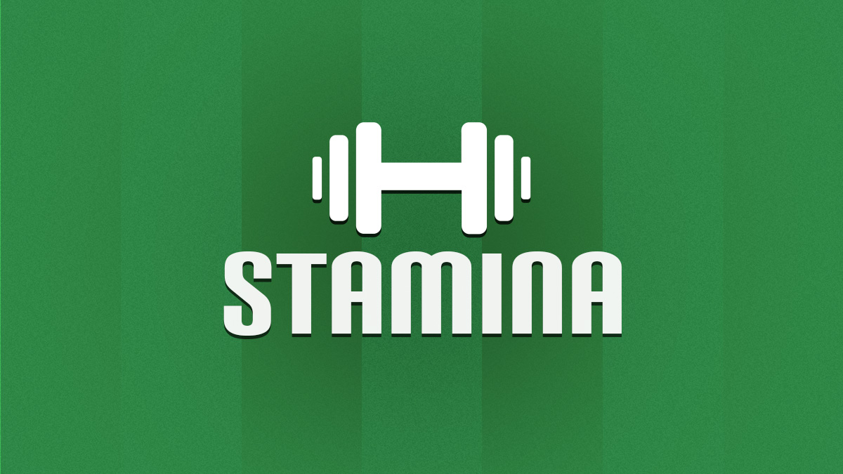 Stamina Explained